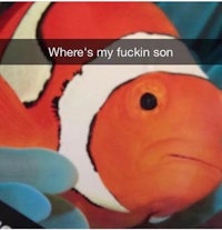 where's my fuckin son?